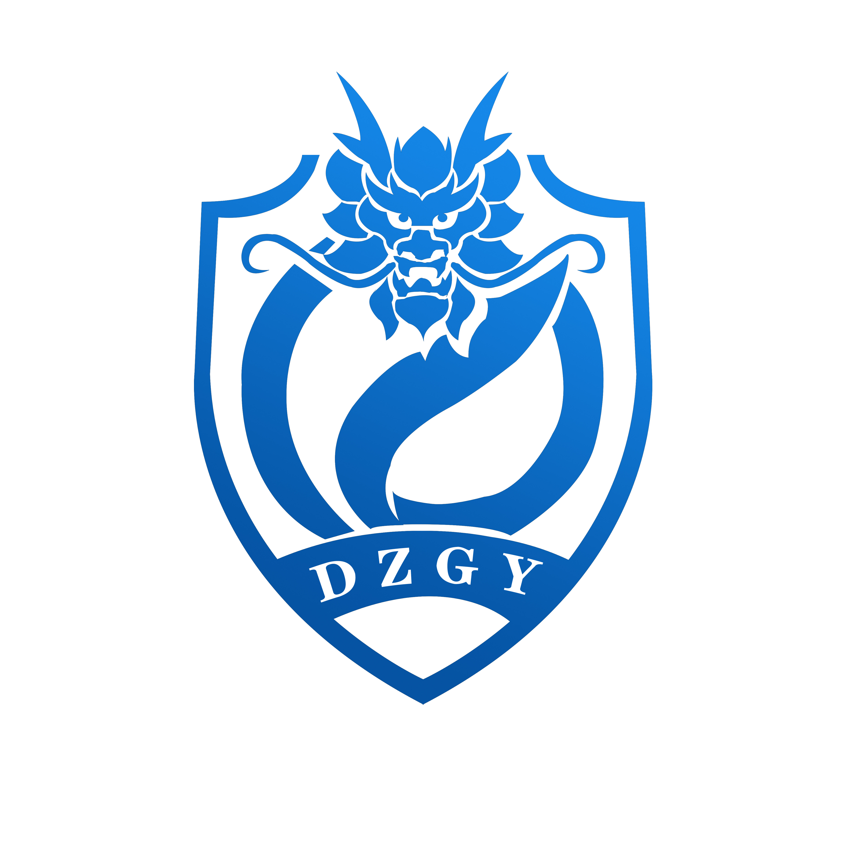 沈陽帝正工業(yè)科技有限公司